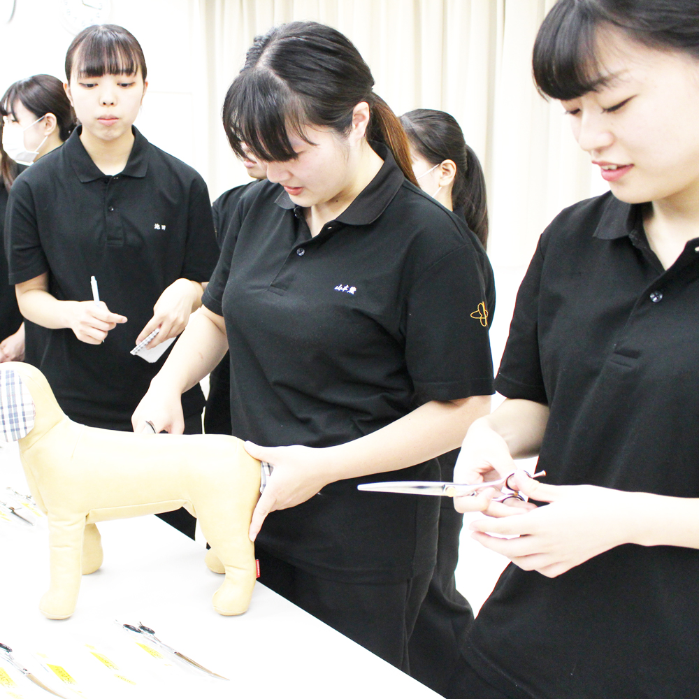 ２年生シザーの相談会♪